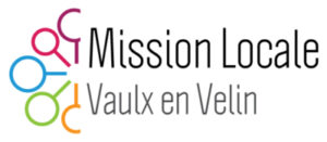 logo-VAULX